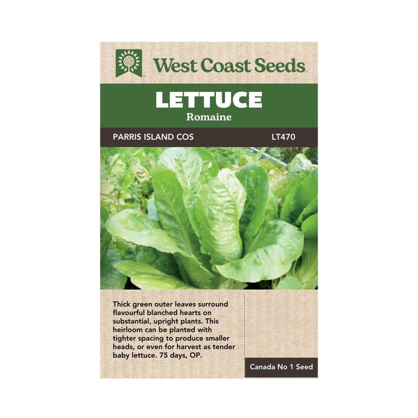 Lettuce - Parris Island Cos Romaine Seeds - Indoor Farmer