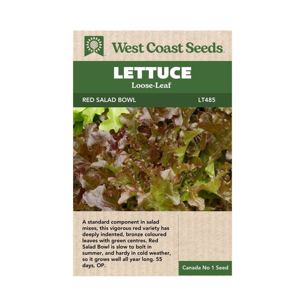 Lettuce - Red Salad Bowl Lettuce Seeds - Indoor Farmer