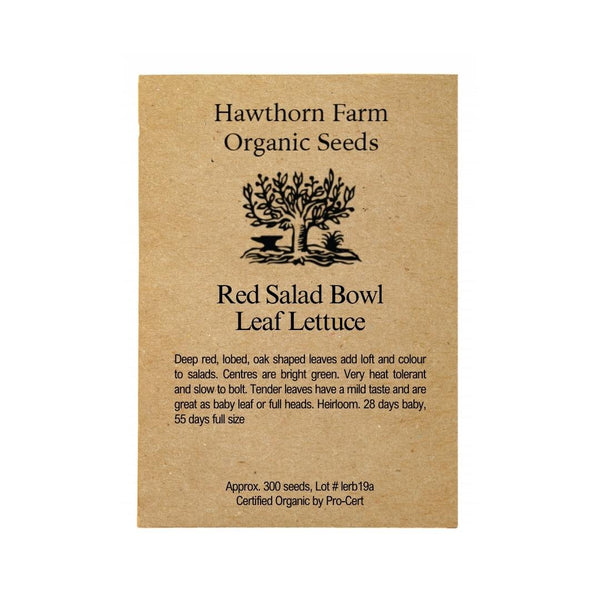 Lettuce - Red Salad Bowl Seeds - Indoor Farmer