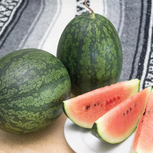 Melons - Black Beauty Mini Watermelon Seeds 0.5g (Approx. 12 seeds) - Indoor Farmer