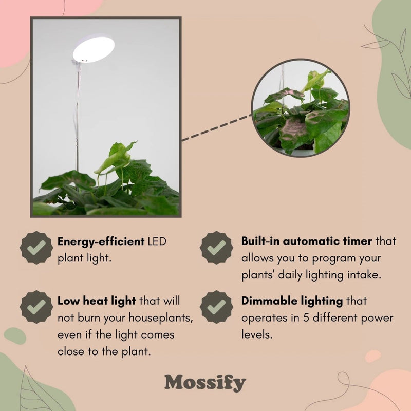 Mossify Adjustable LED Plant Light with Timer - Indoor Farmer