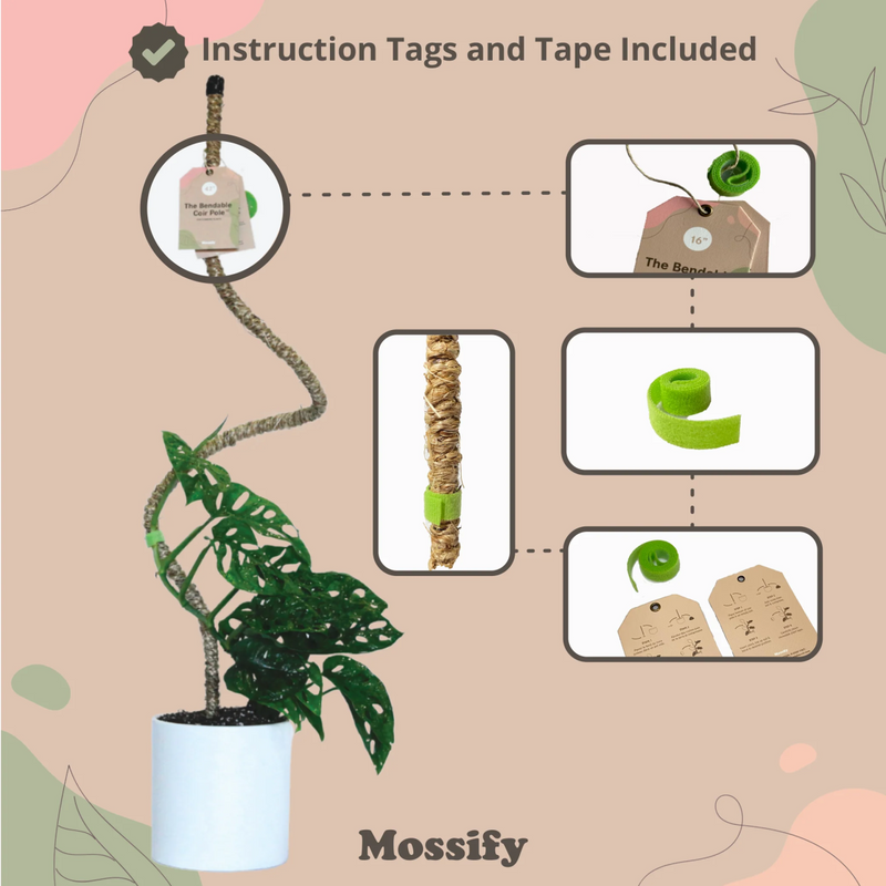 Mossify Original Bendable Coir Pole Plant Support - Indoor Farmer