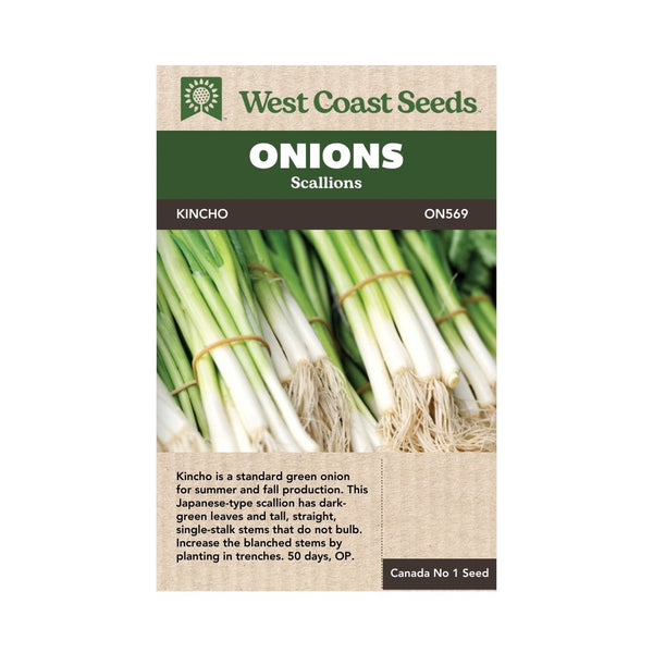 Onion - Kincho Scallion Seeds - Indoor Farmer