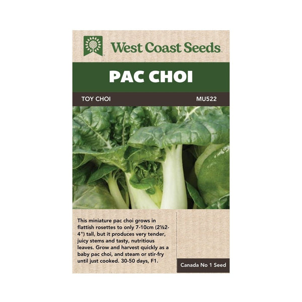 Pac Choi - Toy Choi Pac Choi Seeds - Indoor Farmer