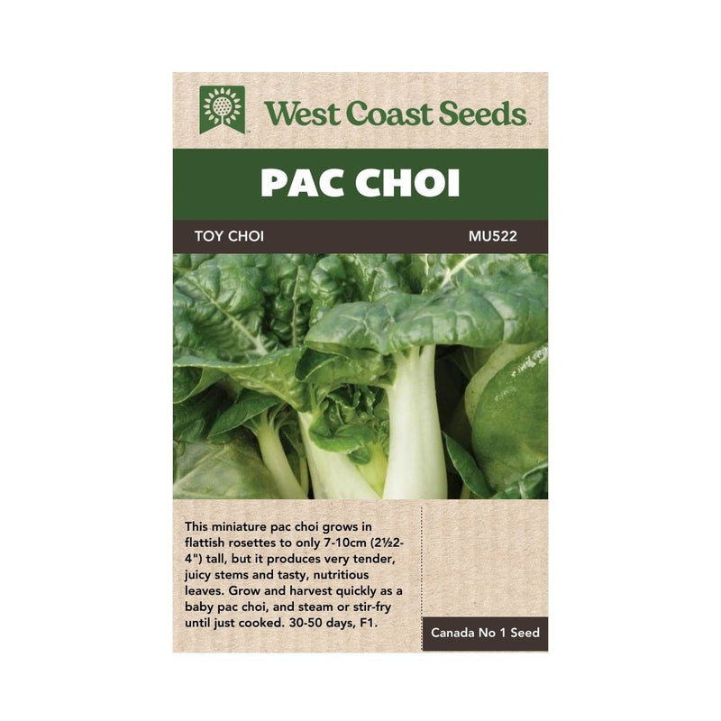 Pac Choi - Toy Choi Pac Choi Seeds - Indoor Farmer
