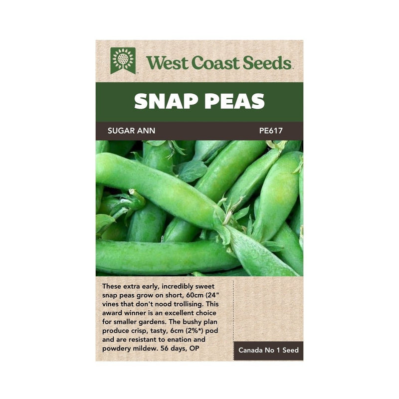 Peas - Sugar Ann Snap Pea Seeds 25g (Approx. 100 seeds) - Indoor Farmer