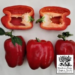 Peppers - Renegade Red Seeds - Indoor Farmer