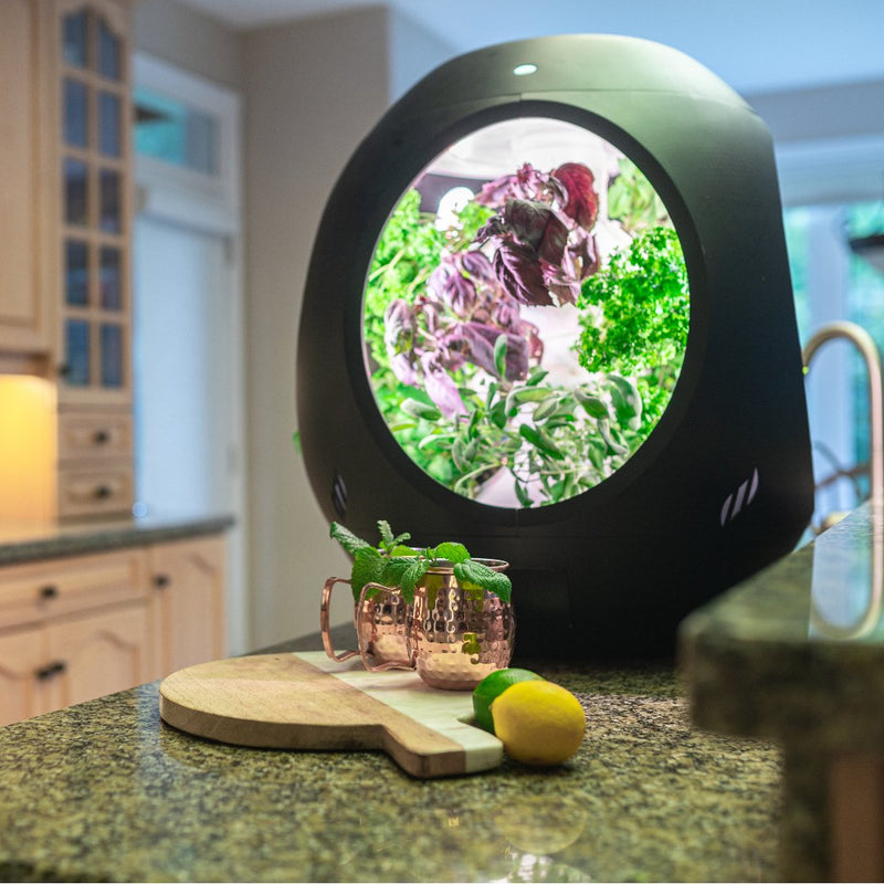 Plantaform Rejuvenate Smart Indoor Garden - Indoor Farmer