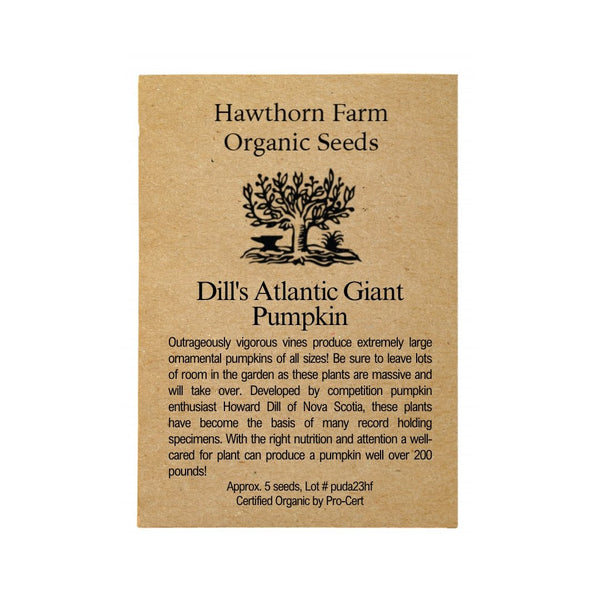 Pumpkin - Dill's Atlantic Giant Pumpkin Seeds - Indoor Farmer