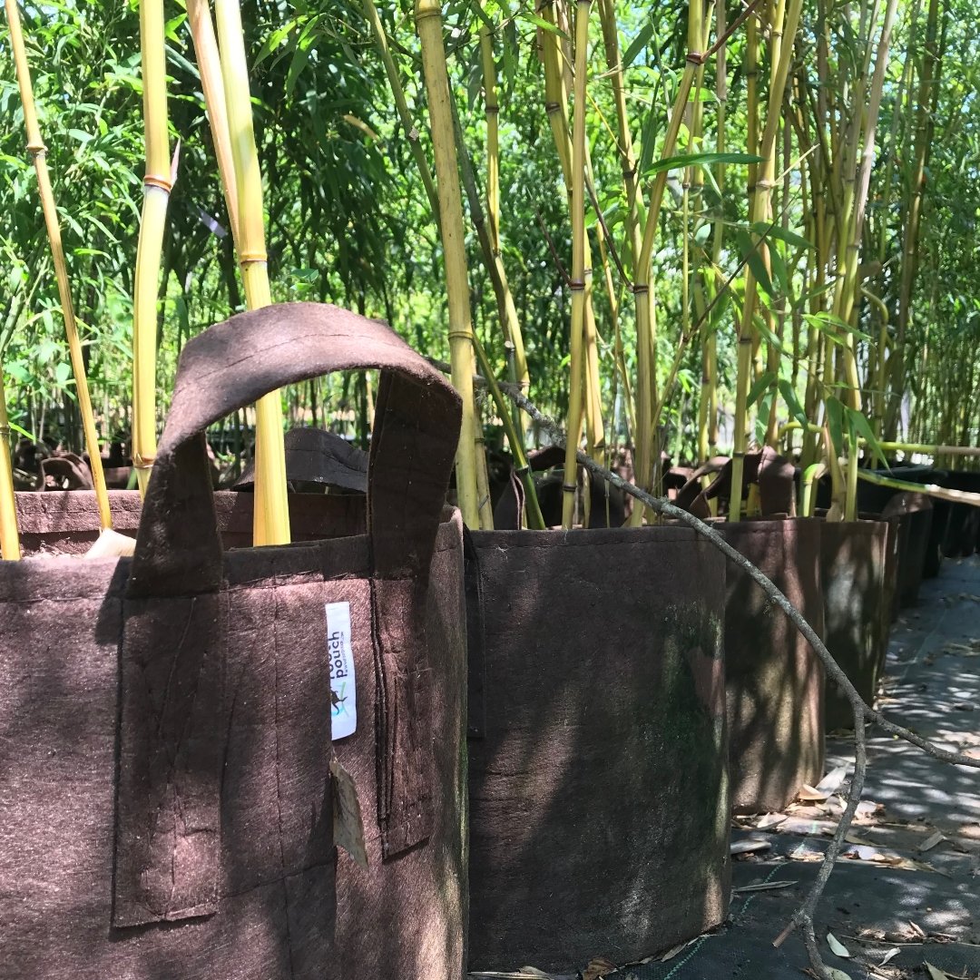 Root Pouch Boxer Brown Fabric Grow Bag with Handles 5 Gallon Indoor