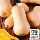 Squash - Waltham Butternut Seeds 30 Seed Packet - Indoor Farmer