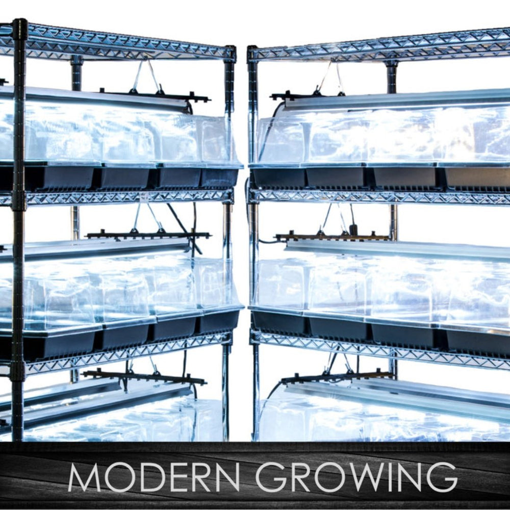 SunBlaster Combo T5HO Strip Light 48 Inch (54W)