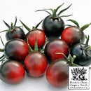 Tomatoes - Dancing with Smurfs Seeds 50 Seed Packet - Indoor Farmer