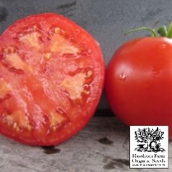 Tomatoes - Druzba Seeds - Indoor Farmer