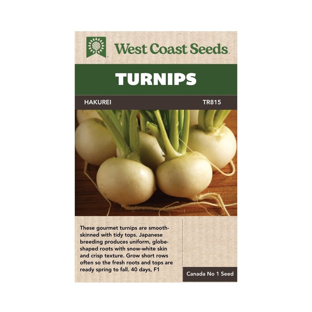 Turnip Hakurei Turnip Seeds Indoor Farmer