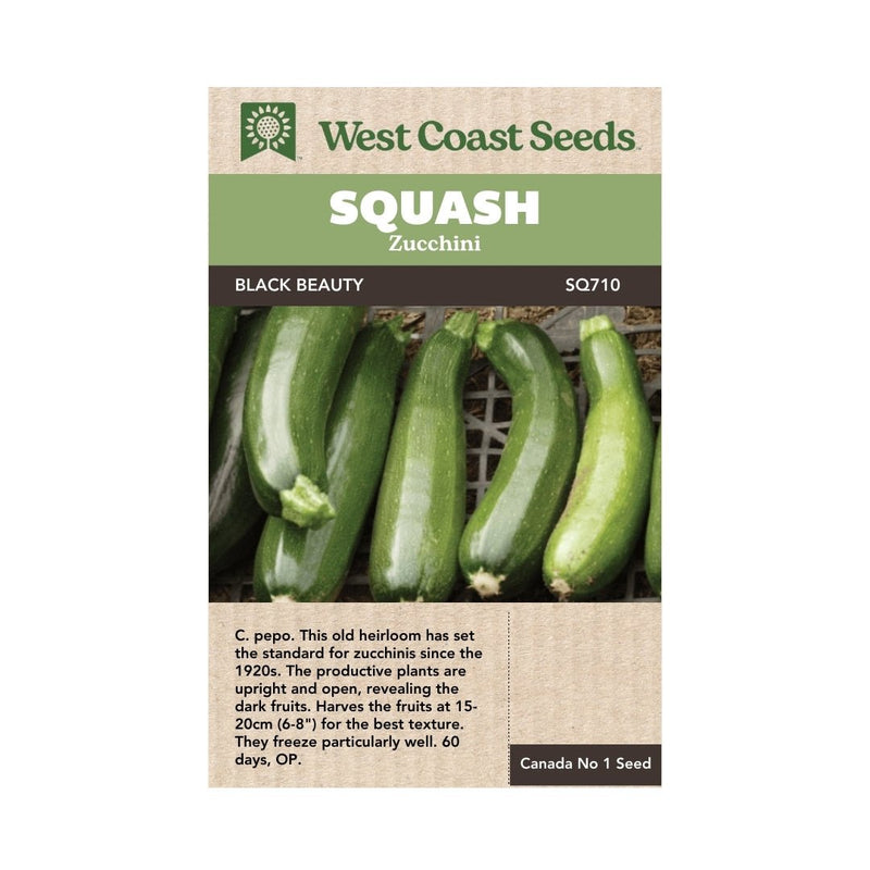 Zucchini - Black Beauty Zucchini Seeds - Indoor Farmer